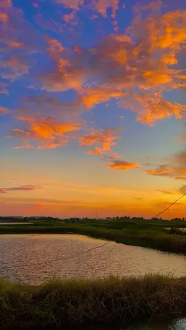 Nếu không phải lo cơm áo gạo tiền thì ước mơ của bạn là gì? #sharknee #canhdep #chill #binhyen #quêhươngtôi 