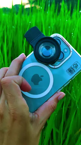 Macro lens X iPhone 15 Pro ✨ @คนเซอร์ๆ 😎  @คนเซอร์ๆ 😎  #macrolens #macrovideo #เลนส์มาโคร #เลนส์กล้องโทรศัพท์ #เลนส์หนีบมือถือ #photography 