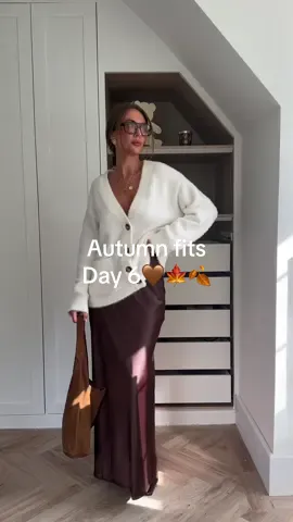 Day 6 autumn fits 🍁🍂 #satinskirt #satinskirtoutfit #autumnfashion #autumnstyling #autumnstyles #fallstyle #pinterestoutfit 