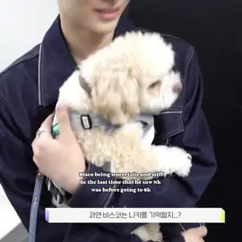 Finally, my two baby 🥺 #ENHYPEN #fypシ #foryou #foryoupage #엔하이픈 #NI_KI #nishimurariki #니키 #nishimurabisco #bisco 