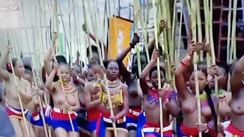 #umhlanga2024 #ingoma #zulunation #zulutiktok #viraltiktok #emhlangeni #ubuntu #umkhosiwomhlanga2024 #intombiyomzulu #viral #fanele134 #tiktok 