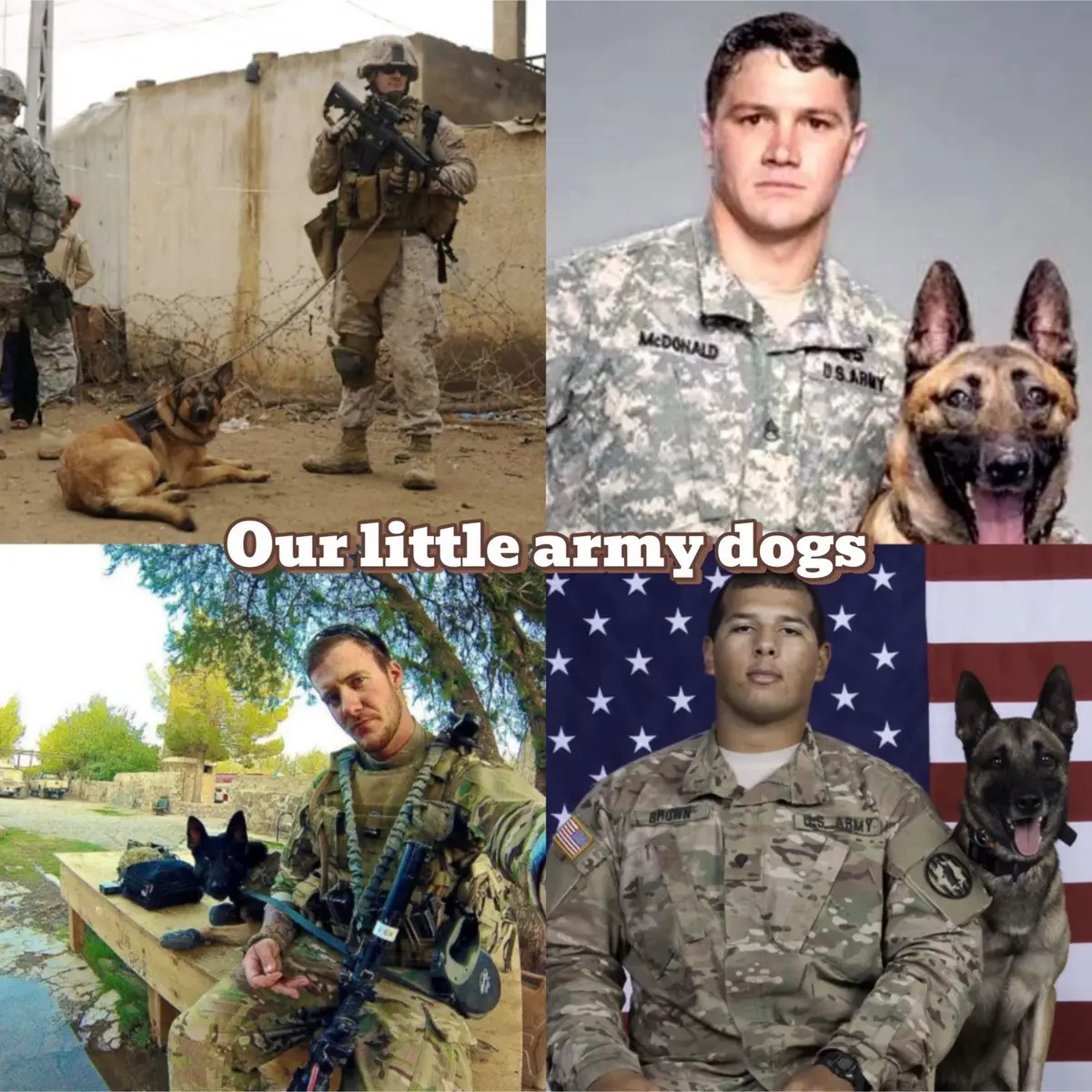 #military #army #navy #nationalguard #spaceforce #airforce #marines #coastguard #k9handler #k9 #hero #iraq #afghanistan #unitedstates #war #award #battle #injury #dog #mansbestfriend 