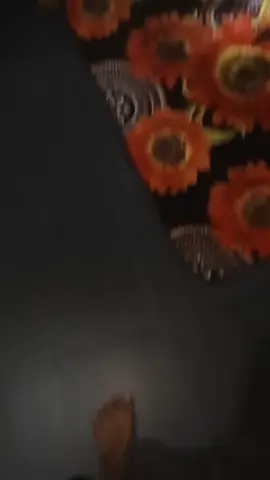 #fypシ゚viral #lajaktakkanpupus🚀🚀🚀 #flystyle 