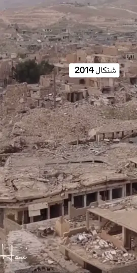 #شنكال #ملتي_مِڼـّي_حياتي🌚💞🦚 