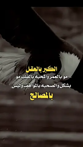 الكبر بالعقل#yy #food 