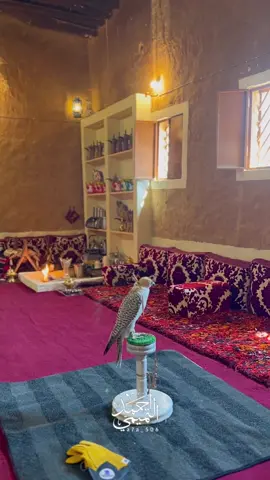 اصبر على ماجاك من وقت اللاش ♥️🍃 ———————————————— #صقر #مجلس #تراث #روسيا #خيل #أبوسحرا #الصيف #الوسم #المربعانيه #الشبط #شعيب #نفود #سيول #قمرى #هلل #برايد #بالون#جير_بيور #طير #هدد #حوطة_بني_تميم #بني_تميم #لاندكروزر #تورنق2020 #Land #car #fyp #CapCut #explore #edit #الشعب_الصيني_ماله_حل 