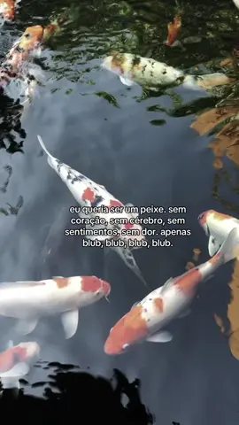 sem dor apenas blub blub blub #peixes #relatable #xyzbca