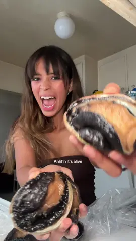 cooking our screaming fish!! #abalone 