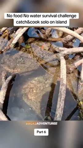 Really hard To fight for food Part 6 #survival #camping #Outdoors #catchandcook #solocamping #fishing 