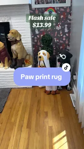The best rug to pick up all the mud,wet paws, and dirt carried into the house.   ✅Flash sale $15 with free shipping- - #rug #pawprintrug #bestrugevermade #dogsoftiktok #dogrug #dogmat #petproducts #PetsOfTikTok #petlife #tiktokmademebuyit #tiktokshopblackfriday #sunsetsavings #falldealsforyou 
