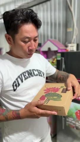 trà đông trùng tứ vị