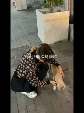 tren nya sangat lucuu #CapCut #fyp 