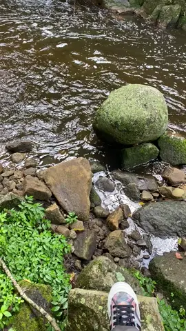 still yoman 🇯🇲❤️💛💚 #fypシ゚viral #peaceandlove #musicreggae 