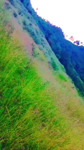 #1millionaudition #1M #4M #15M 