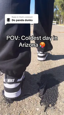 Replying to @Viral what shoes next? 🤔 @Nike #arizona #heatwave  #pandadunks #nike