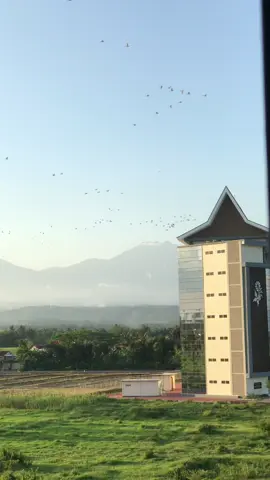 Pesona poliwangi#politeknikbanyuwangi #poliwangi #fyp 