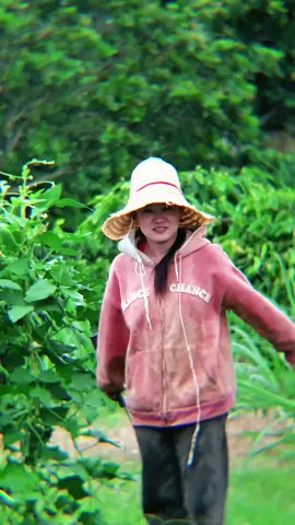 Một góc quay từ Xa #xuhuong2024 #tiktok #lens 