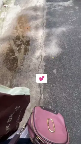 II K O I M A C H IIThammir recipe laupata die koimach er vapa. Try kore dekhte paro, kemon laglo janio.#koimach #cookingvlogs #cookingvideo #laupatadiekoimachvapa #bengalicreator #bangal