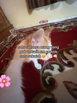 requestt🤞🏻#fyp #moots? #katakata 