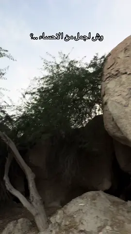 #الاحساء #القاره ##القطيف