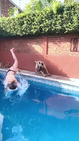 #dogsoftiktok #dogtrainingtips #dogtrainer #DogTraining #hundetraining #workdog #puppydog #trending #viral 