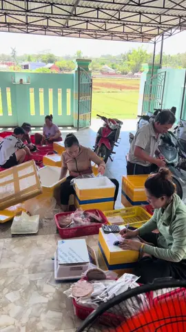 Quy trình đóng cá nhà em#quảngngãi #xuhuong 