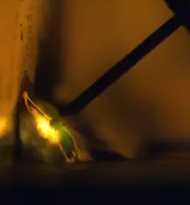 Saldatura Short-arc  La saldatura short arc o arco corto avviene con un basso apporto di calore quando i parametri di saldatura sono 50-180 A e 15-23 V. Il contatto tra il materiale d’apporto e il pezzo da saldare provoca un cortocircuito. Di conseguenza, la punta del filo d’apporto si riscalda e una goccia viene trasferita al bagno di saldatura. Il numero di cortocircuiti al secondo è compreso tra 20 e 200, a seconda dei parametri di saldatura e delle dimensioni del filo d’apporto.  #pipe #gas #pipegas #reelsvideoシ #smerigliatrice #reelschalleng  #pianetasaldatura #reelsviralシ #reelsf  #reelsfypシ #reelsf #faidate #DIY #diycrafts #DIYProjects #welding #weldinglife #weldingmachine #weldingtools #weldingart #weldingwork #welder #weldernation #welderlife #welderup #welderproblems #weldersociety #weld #saldatore #saldatrice #tig #tigwelding #tigweldingstainlesssteel #SMAW #migmagwelding #migmag #laser #lasercutting #lasercuttingmachine #lasercut #lasercutter #lasercutdesign #plasma #plasmacutting #plasmacutter #ESAB #fronius #Miller #lincoln 