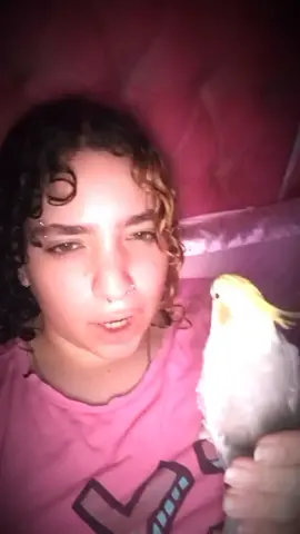 my lil baby 🩷🦜 #fyp #fypfypfypfypfypfypfpfypfypfypfypfypfyp #fyppppppppppppppppppppppp #zozo #iamzozo #teamwork #parrot #parrotsoftiktok #iwannaturnthewholethingupsidedown 