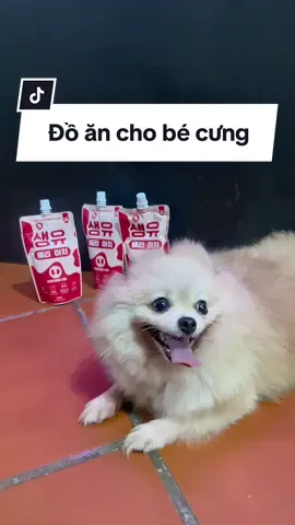 Mình phát hiện em sữa Saengyoo chăm sóc thận cho bé cưng rất tốt, mọi người thử em này chưa???#ljzjlife #bido #myvefvietnam #saengyoo #thucanchomeo 