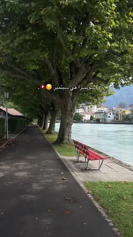 سويسرا في سبتمبر 😮‍💨♥️♥️♥️. #fyp #fy #foryou #tiktokviral #exploremore #flypシ #tik_tok #سويسرا🇨🇭 #سياحة #سفر #grindelwald #انترلاكن #طبيعة #switzerland #interlaken #بحيرة #نهر 