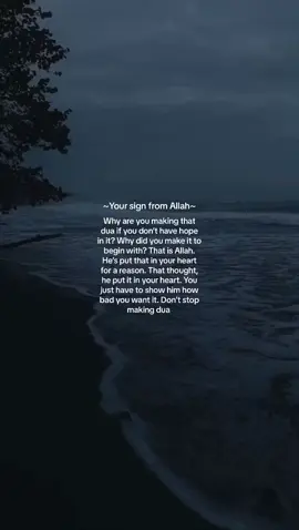 ~ Your sign from Allah (swt) ~ You made that dua for a reason, don’t stop now #yoursign #signsfromallah #signfromgod #foryoupage #islamicfyp #dua #wish #duas 