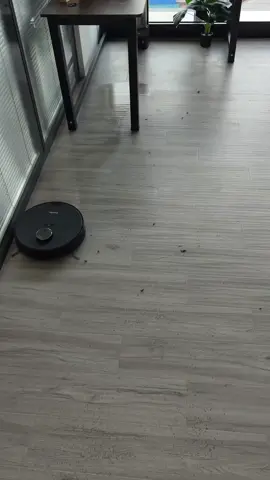 “This is my employee of the year🤣” #robot #robotcleaner #clean #tiktokmademebuyit #tiktokmademedoit #usa #losangeles #room #robotmop #mopvacuum 