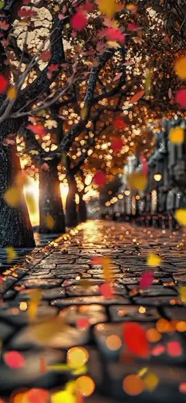 #autumn #leaffall #🍂 #🍁 #livewallpaper #livewallpaper4k #4k #4kUltra #4klivewallpaper #livewallpaper8K #wallpaper #wallpapers #ライブ壁紙4K #8k #틱톡벽지#papeldeparedeaovivo #живыеобои4k #아트월페이퍼 #hìnhnềnsống #zhivyye_oboi #خلفيةحية #動態壁紙 #smmupdates #라이브배경화면 #hìnhnềnsống #लाइववॉलपेपर4k #ζωντανήταπετσαρία #sfondianimati #gyvitapetai #longervideos #ライブ壁紙 #tutorial #élőháttérkép #letërmurilive #fondosdepantalla4k #longervid #라이브벽지4k #hìnhnềnsống #लाइववॉलपेपर #लाइववॉलपेपर4k #ζωντανήταπετσαρία #sfondianimati #ცოცხალიფონი #gyvitapetai  #fyp #Canlıdivarkağızı #fypシ #iphone #android #realme #samsung #art #라이브배경화면4K #တိုက်ရိုက်နောက်ခံ4k #लाइववॉलपेपर4केबा #خلفيةحية4K #動態桌布4k #动态壁纸4k #4kافغانی #trippy 