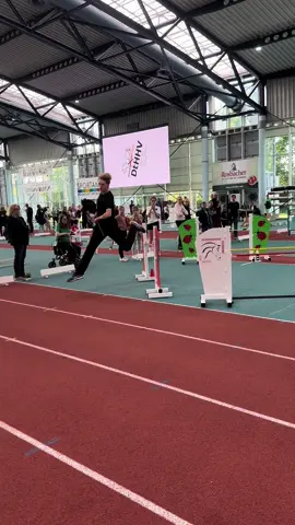 Bänderriss #hobbyhorsing #fyy #hobbyhorse #hobbyhorsingisteinsport #hobbyhorser #hobbyhorsegermany #viral #jumping 
