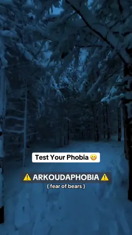 Arkoudaphobia Test 🐻😰⚠️ #fyp #bear #arkoudaphobia #test #levels #alexfunfacts 