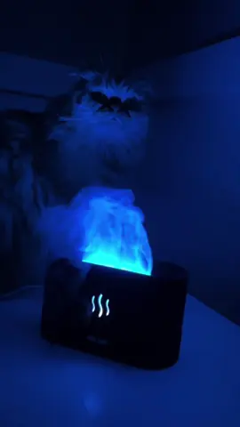 Livraison sur toute la Tunisie 🇹🇳🔥 **Transformez votre espace avec notre Diffuseur à Flamme !** 🔥 Envie de sublimer votre déco tout en profitant des bienfaits d’un diffuseur ? 🌬️💧 Notre nouveau **Diffuseur à Flamme** est un incontournable ! Avec son effet flamme réaliste en **5 couleurs LED magnifiques** – **Rouge, Vert, Bleu, Violet et Orange** 🔴🟢🔵🟣🟠, il créera une ambiance chaleureuse et unique pour toutes vos soirées ! ✨ 🌿 **Les bienfaits du diffuseur :** - Purifie et humidifie l’air 💧 - Apporte une senteur apaisante à votre espace 🌸 - Réduit le stress et vous aide à vous détendre 😌 Son **effet flamme ultra-cool** en fait une pièce de décoration parfaite pour la chambre, le salon ou le bureau ! 🏡🌈 🛒 Ne ratez pas cette opportunité ! Commandez le vôtre dès maintenant et alliez style et bien-être dans votre intérieur. Quantités limitées ! #DiffuseurDeParfum ##Aromathérapie #DécorationIntérieure  #Diffuser   #Humidifier   #EssentialOils   #Aromatherapy   #AirHumidifier   #DiffuserBlend   #RoomDiffuser   #HomeFragrance   #HumidifierBenefits   #OilDiffuser   #HomeDecor   #AirPurifier   #Wellness   #SelfCare   #Relaxation #tunisue #tunisia #trendy #decor 