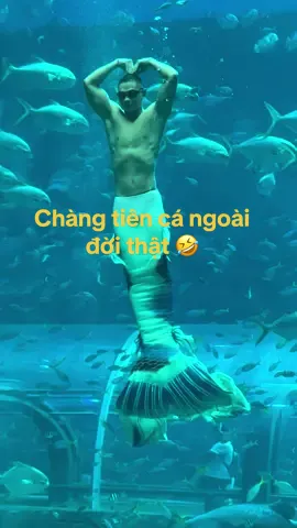 Lần đầu tiên được thấy chàng tiên cá ngoài đời thật#tienca #thuycung #winwonderphuquoc #xuhuongtiktok #xh #viral #xhuongtiktok 