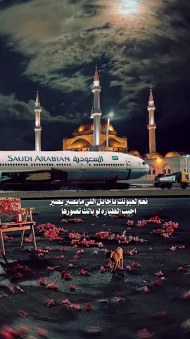 لعيونك ياحائل اللي مايصير يصير ..🍂#ترند_الطياره #ترند_حايل #حايل #حايلندا #تصوير #@عبدالله الحامد #قوالب_نوره_الشمري #fyp #explore #viraltiktok #fypシ゚ #cupcut #ترند_جديد #WeDreamAndWeAchieve #CapCut 