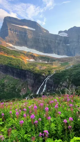Is Glacier the most beautiful park in the US?  #glaciernationalpark #travel 