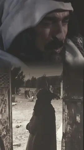 يمه دخيلك ليش عني تروحين#امي_جنة  #تصميم_فيديوهات🎶🎤🎬 #foryou #fypシ #foryoupage #fyp #viral #explore 