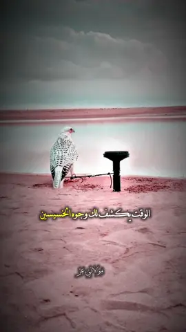 الوقت يكشف لك وجوه الخسيسين #fyp #foryou #viral #الشاعر_مولاني_عز #ترند_تيك_توك #اكسبلور #يوتيوب #منشن_شخص_تبي_يشوف_المقطع #تابعوني_انستغرام🤏 #عز_الله  صرنا نشوف بهل وقت ناس خبيثه وماتعرف تسولفوحساد #fyp #يومياتي #viral 