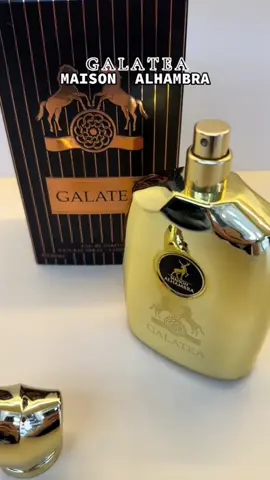Galatea da Maison Alhambra é um perfume oriental para homens e mulheres. Galatea foi lançado em 2022. As notas de topo são Frutas, Mate, Tomilho, Cipreste e Notas Verdes; as notas de coração são Rosa, Raiz de íris e Jasmim; as notas de fundo são Couro, Baunilha, Ambar, Cedro da Virgínia e Vetiver. #perfumearabe #perfumetiktok #perfumeviral 