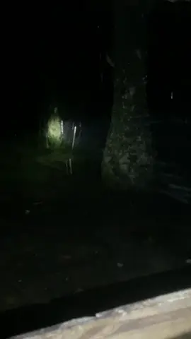 apa yang Anda rasakan jika anda sendirian di tengah hutan sawit diwaktu hujan di tengah malam#foryou #fypシ #fyp #horor 