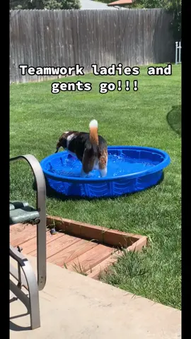 💪🏽💪🏽💪🏽