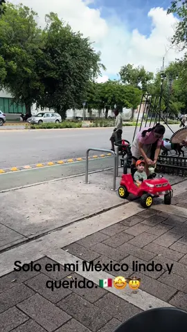 Cosas que solo vez en mi Mérida Yucatán México.🤩🇲🇽  #mexico #mexico🇲🇽 #15deseptiembre #diadelaindependencia #pe #dog #petfriendly #yucatan #merida #meridayucatanmexico #meridayucatán #paseodemontejo #september #amazing 