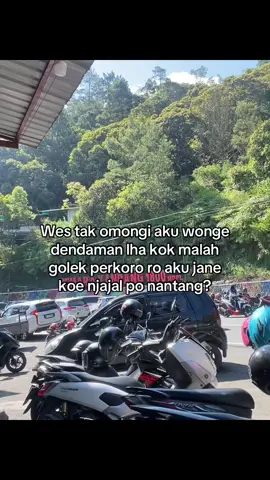 Lah yo