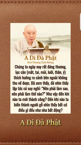 #phatphapnhiemmau #tayphuongcuclac #hoathuongtinhkhong #nammoadidaphat #adidaphat 