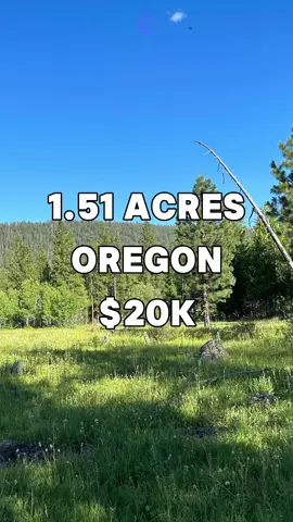 1.51 Acres with paved road access for Sale in Chiloquin, Oregon for $20,050. Taxes are $110 a year. Power is in the area #land #property #investing #cheap #forsale #sale #vacantland #landcentury #USA #fyp #viral #realestate #realestateagent #realtor #realtors #realestateagents #flip #flips #flipping #properties #propertyforsale 