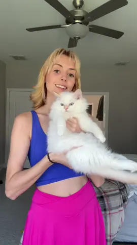 Revealing the new names for the L litter when they leave to go to their forever homes 