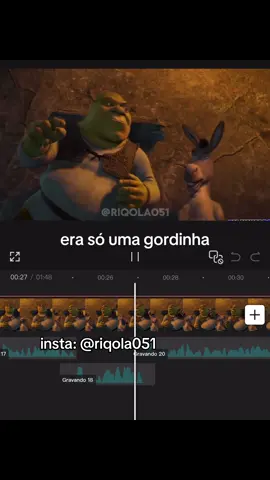 olha quem voltou kkkk #fy #fyp #explore #shrek #sul #portoalegre #dublagem #poa #rs #gaucho #éosguri #lovebar #gordinha #frio @Love Bar Poa @Jeff Oliveira 